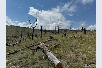 280 Rim Rd, Boulder, CO 80302 - Photo 19