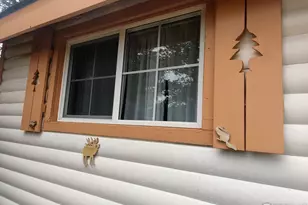 121 Pine Nut Ln, Red Feather Lakes, CO 80545 - Photo 27