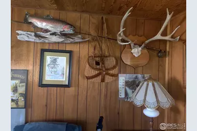 121 Pine Nut Ln, Red Feather Lakes, CO 80545 - Photo 19