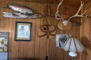 121 Pine Nut Ln, Red Feather Lakes, CO 80545 - Photo 19