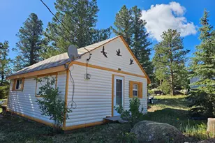 121 Pine Nut Ln, Red Feather Lakes, CO 80545 - Photo 3