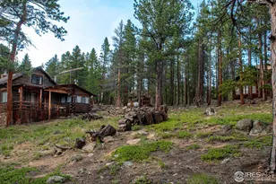 1217 Big Owl Rd, Allenspark, CO 80510 - Photo 7