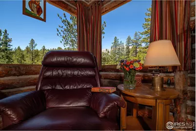 1217 Big Owl Rd, Allenspark, CO 80510 - Photo 9