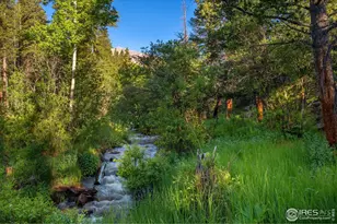 1217 Big Owl Rd, Allenspark, CO 80510 - Photo 5