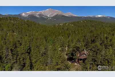 1217 Big Owl Rd, Allenspark, CO 80510 - Photo 3