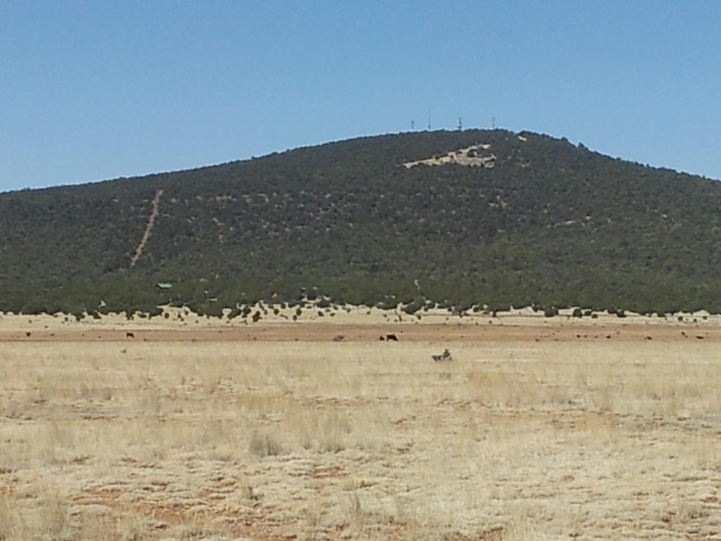 Lot 714 Caruso Way, Seligman, AZ 86337 MLS 6018246 Coldwell Banker