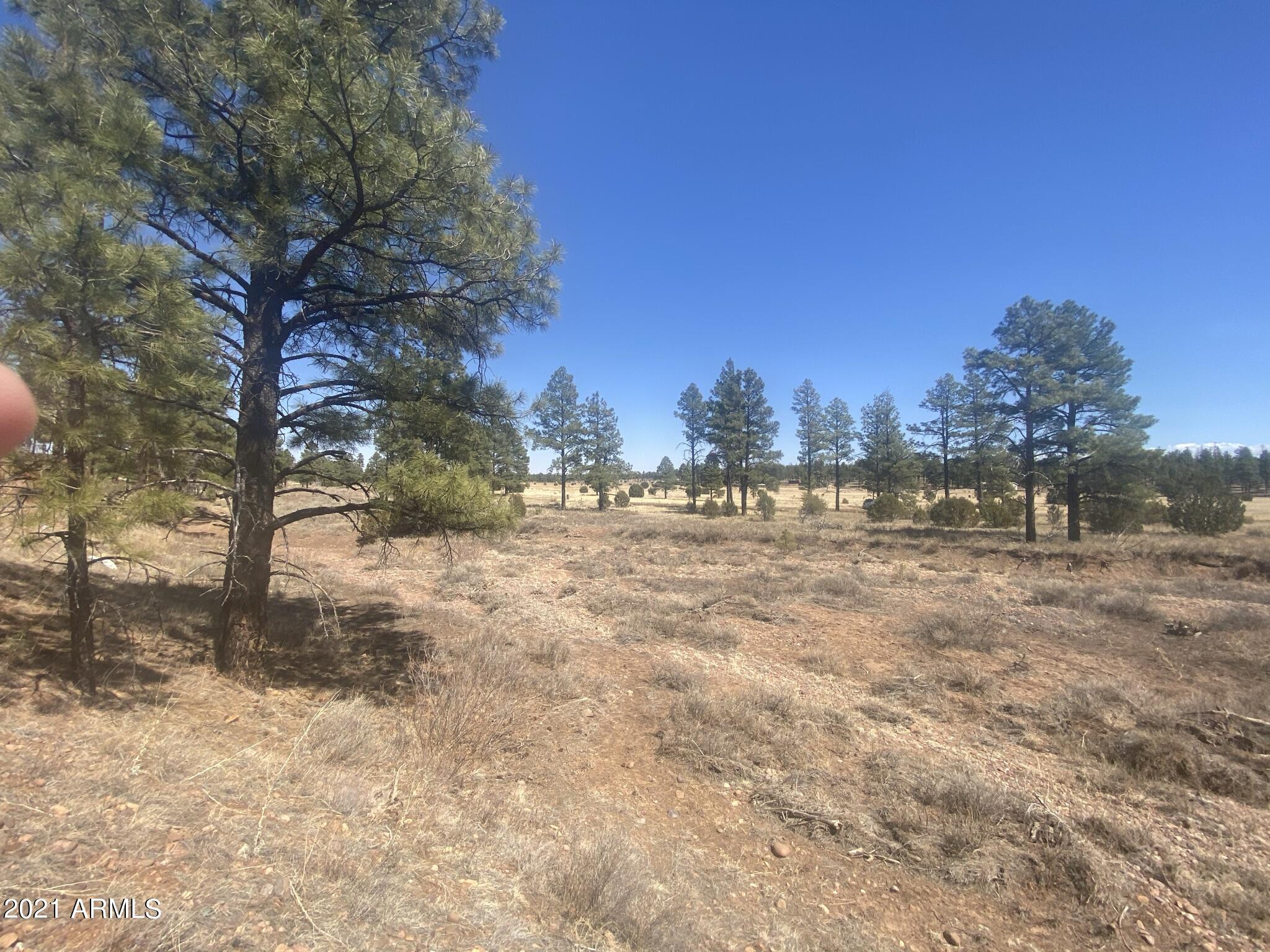 0 Lodge Rd, Aripine, AZ 85933 - MLS 6321486 - Coldwell Banker