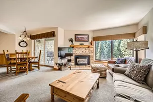 755 Columbine Rd, Breckenridge, CO 80424 - Photo 1