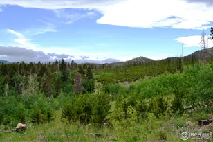 1256 Basking Dog Rd, Bellvue, CO 80512 - Photo 1