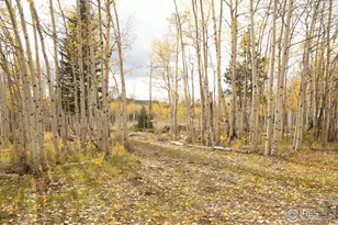 411 Tesuque Trail, Red Feather Lakes, CO 80545 - Photo 1