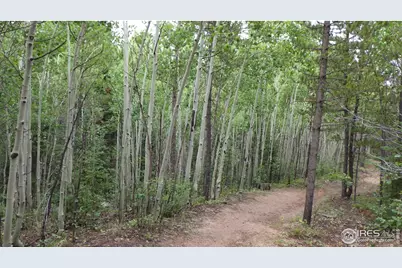 60 Comanito Ct, Red Feather Lakes, CO 80545 - Photo 1