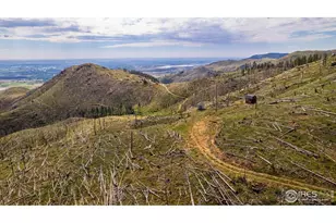 0 Pine Acres, Bellvue, CO 80512 - Photo 1