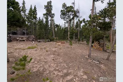 130 Natchez Cir, Red Feather Lakes, CO 80545 - Photo 1