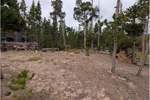 130 Natchez Cir, Red Feather Lakes, CO 80545 - Photo 1