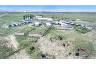 7557 County Rd 100, Wellington, CO 80549 - Photo 1