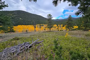 187 Arapaho Dr, Bellvue, CO 80512 - Photo 1