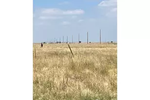 0 (Lot 40) Cr 98, Nunn, CO 80648 - Photo 1