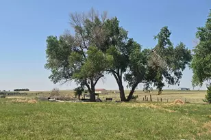 7926 County Road P 2, Wiggins, CO 80654 - Photo 1