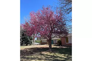 5860 Wood Sorrel Dr, Littleton, CO 80123 - Photo 1