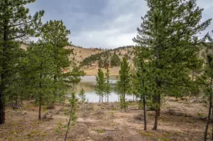 384 Ute Ct, Red Feather Lakes, CO 80545 - Photo 1