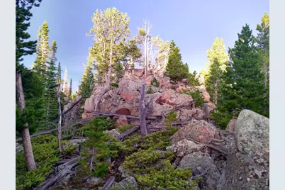3765 Forest Road 195, Red Feather Lakes, CO 80545 - Photo 1