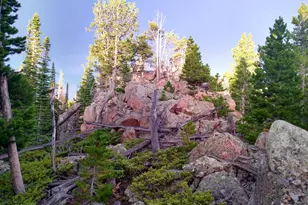 3765 Forest Rd 195, Red Feather Lakes, CO 80545 - Photo 1