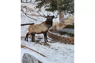 96 Lone Wolf Rd, Loveland, CO 80537 - Photo 1