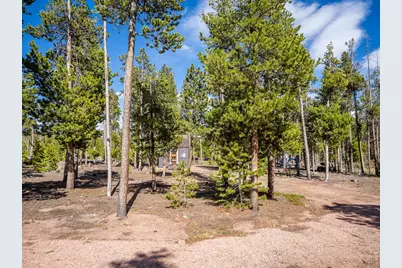 297 Manso Way, Red Feather Lakes, CO 80545 - Photo 1