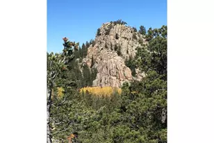 Wandering Ln, Red Feather Lakes, CO 80545 - Photo 1