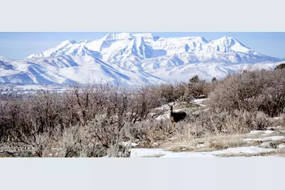 594 N Westward Ho Road, Heber City, UT 84032 - Photo 13