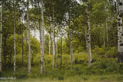 8806 N Stewart Road #2b, Sundance, UT 84604 - Photo 35