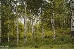 8806 N Stewart Rd, Sundance, UT 84604 - Photo 35