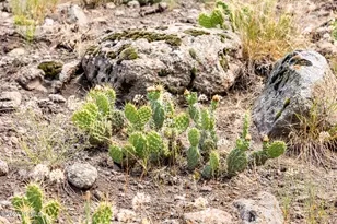 2121 E Flat Top Mountain Dr, Heber City, UT 84032 - Photo 63