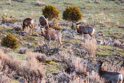 283 Mackenzie Lane #15, Coalville, UT 84017 - Photo 19