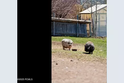 29706 Old Lincoln Highway, Wanship, UT 84017 - Photo 49