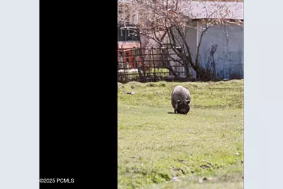 29706 Old Lincoln Highway, Wanship, UT 84017 - Photo 41