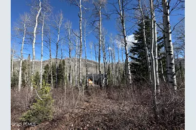 663 Red Fir Way, Oakley, UT 84055 - Photo 1