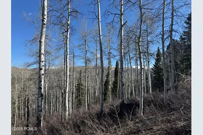 662 Red Fir Way, Oakley, UT 84055 - Photo 21