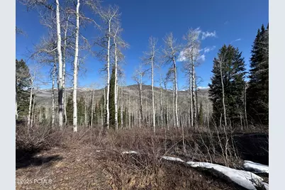 662 Red Fir Way, Oakley, UT 84055 - Photo 15