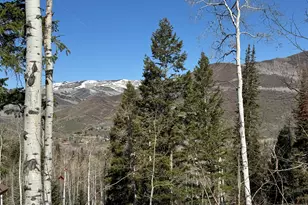 662 Red Fir Way, Oakley, UT 84055 - Photo 1