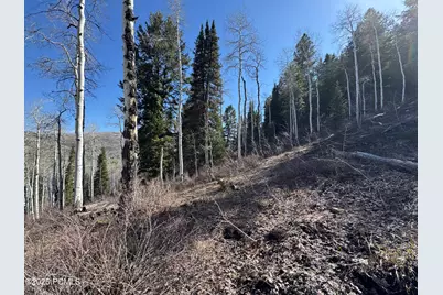 662 Red Fir Way, Oakley, UT 84055 - Photo 19