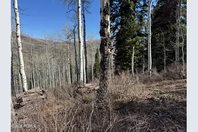 662 Red Fir Way, Oakley, UT 84055 - Photo 17