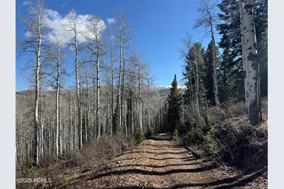 662 Red Fir Way, Oakley, UT 84055 - Photo 13