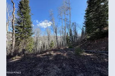 662 Red Fir Way, Oakley, UT 84055 - Photo 7