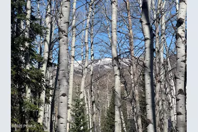 662 Red Fir Way, Oakley, UT 84055 - Photo 5