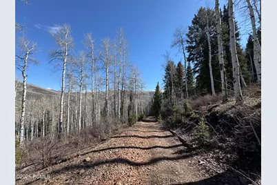 662 Red Fir Way, Oakley, UT 84055 - Photo 3