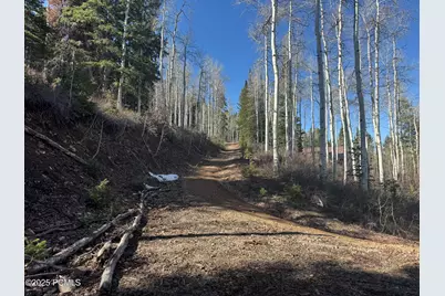 661 Red Fir Way, Oakley, UT 84055 - Photo 13