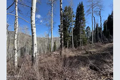 661 Red Fir Way, Oakley, UT 84055 - Photo 17