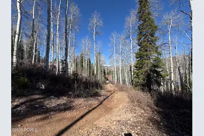 661 Red Fir Way, Oakley, UT 84055 - Photo 9