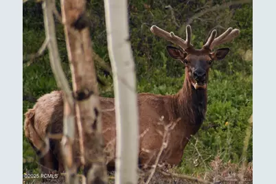 2088 Uintah View Drive, Coalville, UT 84017 - Photo 25